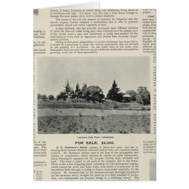 Sebastopol, Kalifornien (Vorne)