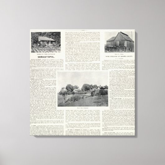 Sebastopol, Kalifornien Leinwanddruck (Vorderseite)