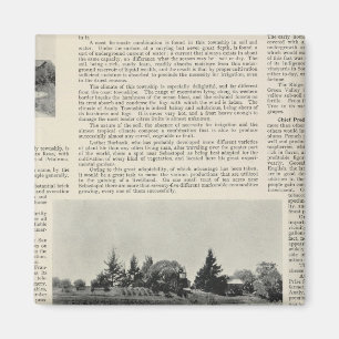 Sebastopol, Kalifornien Magnet