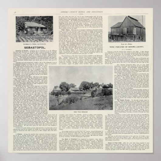 Sebastopol, Kalifornien Poster (Vorne)