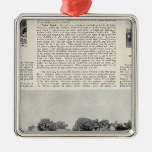 Sebastopol, Kalifornien Silbernes Ornament