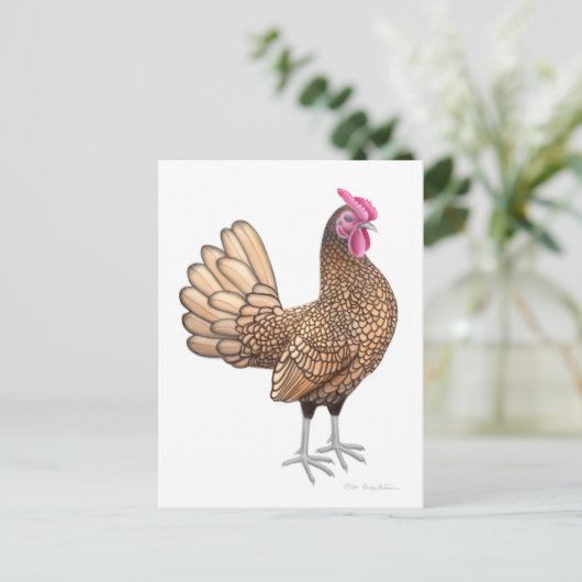 Sebright Bantam Rooster Postcard Postkarte (Stehend Vorderseite)