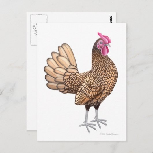 Sebright Bantam Rooster Postcard Postkarte (Vorne/Hinten)