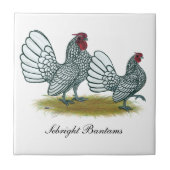 Sebright Bantams:  Silber Fliese (Vorderseite)