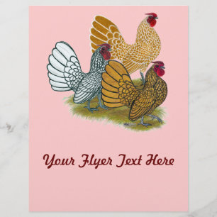 Sebright Rooster-Sortiment Flyer