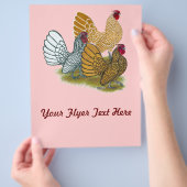 Sebright Rooster-Sortiment Flyer (Hand)