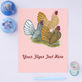 Sebright Rooster-Sortiment Flyer (Einzeln)