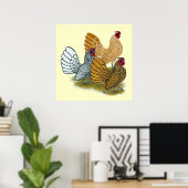 Sebright Rooster-Sortiment Poster (Heimbüro)