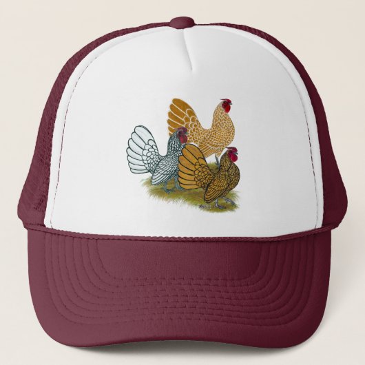 Sebright Rooster-Sortiment Truckerkappe (Vorderseite)