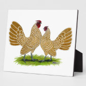 Sebrights Buff Laced Fotoplatte (Seite)