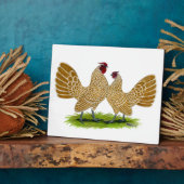 Sebrights Buff Laced Fotoplatte (Seite)