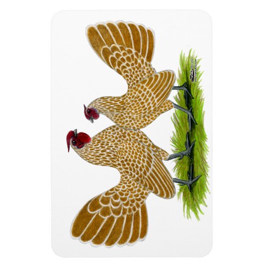 Sebrights Buff Laced Magnet (Vertikal)