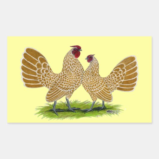 Sebrights Buff Laced Rechteckiger Aufkleber (Vorderseite)