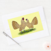 Sebrights Buff Laced Rechteckiger Aufkleber (Umschlag)