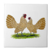 Sebrights Büffelleder geschnürt Fliese (Vorderseite)