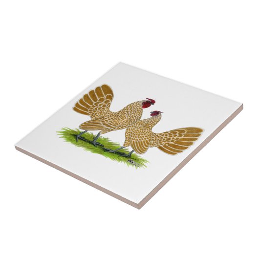 Sebrights Büffelleder geschnürt Fliese (Seite)