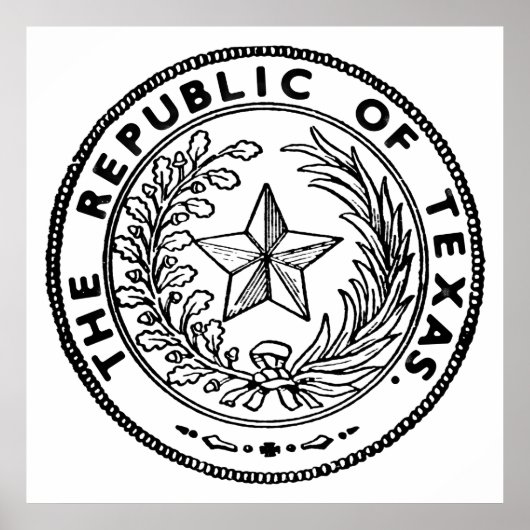 Secede Republic of Texas Poster (Vorne)