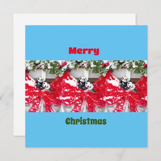 Sechs Darling Pandas zu Weihnachten (Vorne/Hinten)