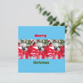 Sechs Darling Pandas zu Weihnachten (Stehend Vorderseite)