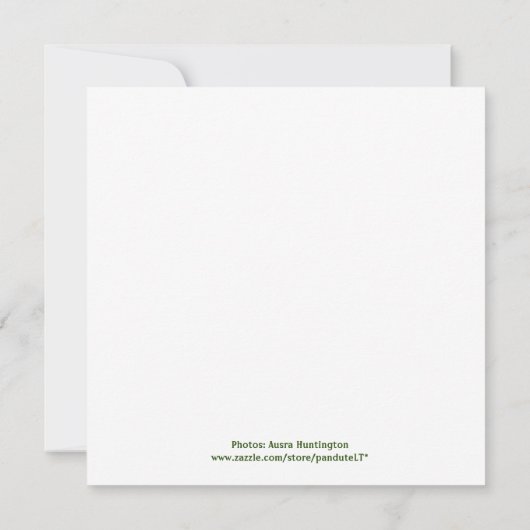 Sechs Darling Pandas zu Weihnachten (Rückseite)