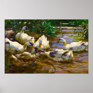 Sechs Enten in Blue Reed Water von Alexander Koest Poster