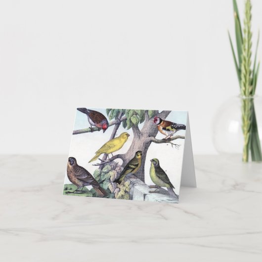 Sechs farbenfrohe Vögel Vintage Postkartenkunst. Karte (Vorderseite)