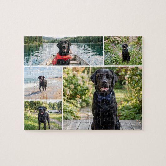 Sechs-Foto-Collagen-Vorlage Puzzle (Horizontal)