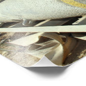 Sechs GBU-12-Bomben sitzen im Rack Fotodruck (Ecke)