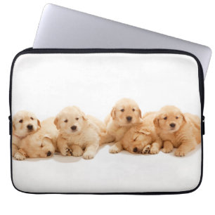 Sechs Golden Retriever Welpen Laptopschutzhülle