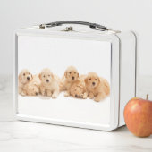 Sechs Golden Retriever Welpen Metall Brotdose (Beispiel)