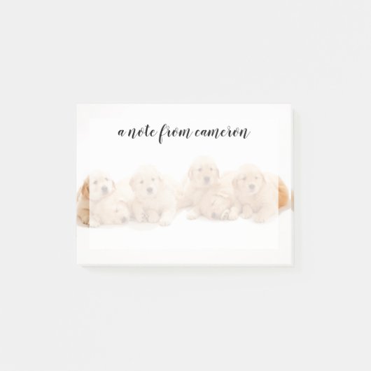 Sechs Golden Retriever Welpen Post-it Klebezettel (Vorderseite)