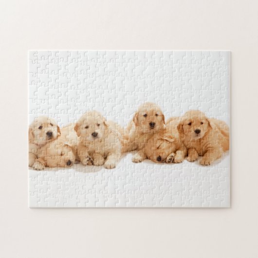 Sechs Golden Retriever Welpen Puzzle (Horizontal)