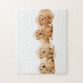Sechs Golden Retriever Welpen Puzzle (Vertikal)