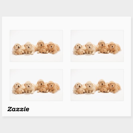 Sechs Golden Retriever Welpen Rechteckiger Aufkleber (Blatt)