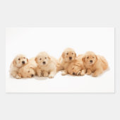 Sechs Golden Retriever Welpen Rechteckiger Aufkleber (Vorderseite)