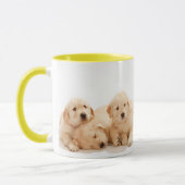 Sechs Golden Retriever Welpen Tasse (Links)