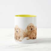 Sechs Golden Retriever Welpen Tasse (Zentrum)