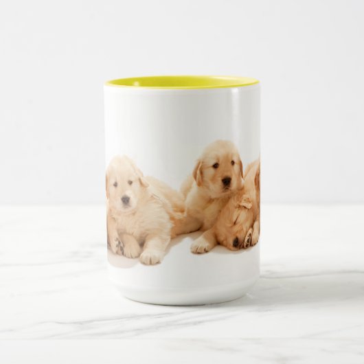 Sechs Golden Retriever Welpen Tasse (Zentrum)
