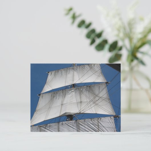 Sechs Gun Sails Postkarte (Stehend Vorderseite)