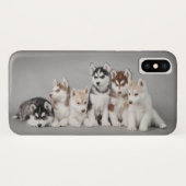 Sechs Huskie-Welpen Case-Mate iPhone Hülle (Rückseite (Horizontal))
