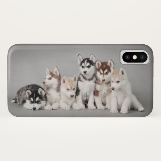 Sechs Huskie-Welpen Case-Mate iPhone Hülle (Rückseite (Horizontal))