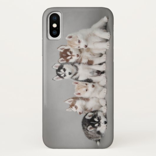 Sechs Huskie-Welpen Case-Mate iPhone Hülle (Rückseite)