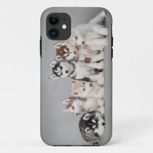 Sechs Huskies Case-Mate iPhone Hülle (Rückseite)