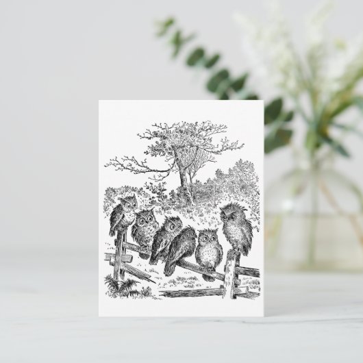 Sechs kleine Löwen sitzen auf einem zerbrochenen Z Postkarte (Stehend Vorderseite)