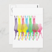 sechs Lamas in sechs Lamafarben Postkarte (Vorne/Hinten)