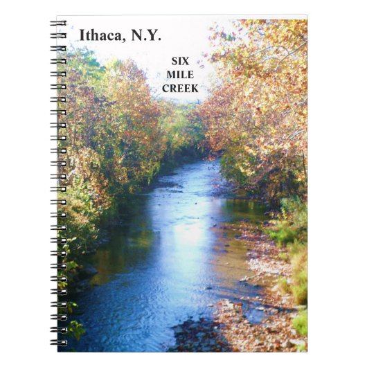 SECHS MILCHKREAK NOTIZBLOCK (Vorderseite)