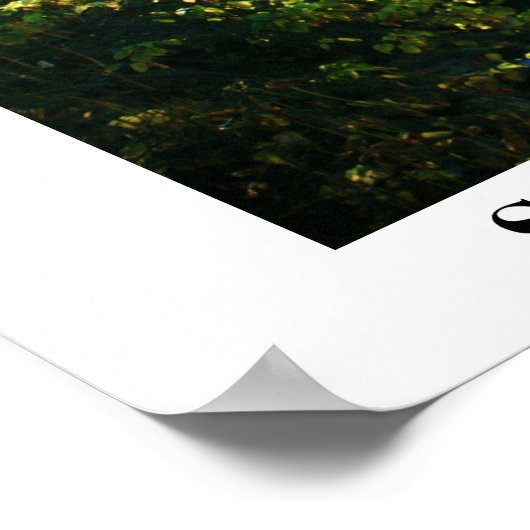 SECHS MILCHKREAK POSTER (Ecke)