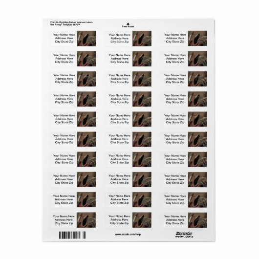 Sechs Sting Acoustic Guitar (Vorne)