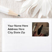 Sechs Sting Acoustic Guitar (Insitu)