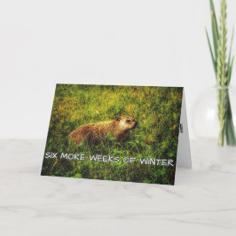 Sechs weitere Wochen Wintergrusskarte Karte